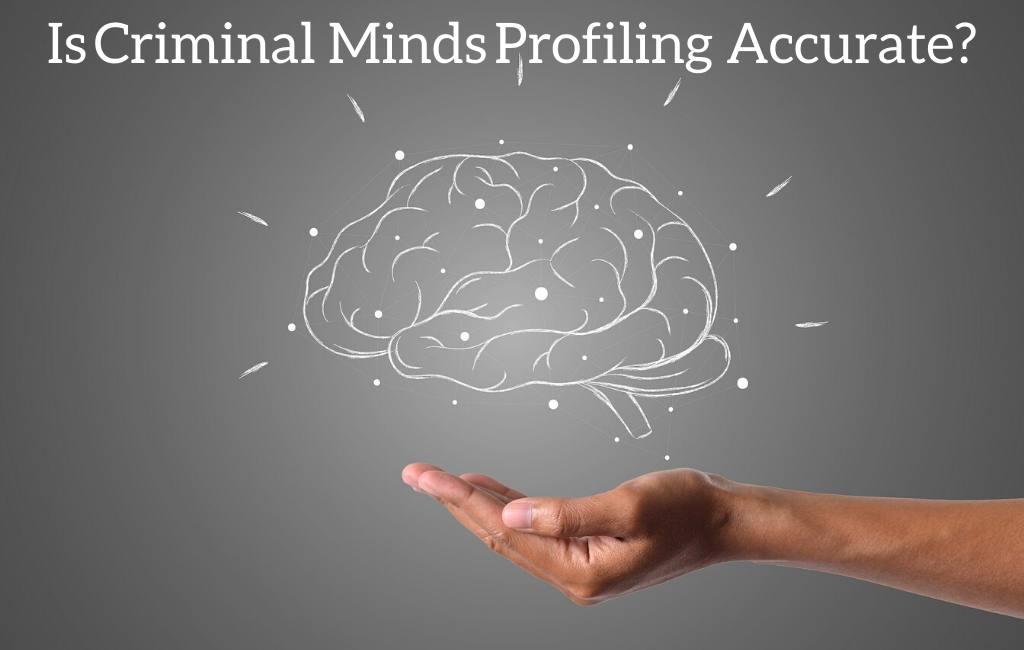 Is Criminal Minds Profiling Accurate?