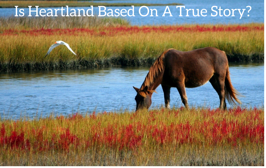Is Heartland Based On A True Story?