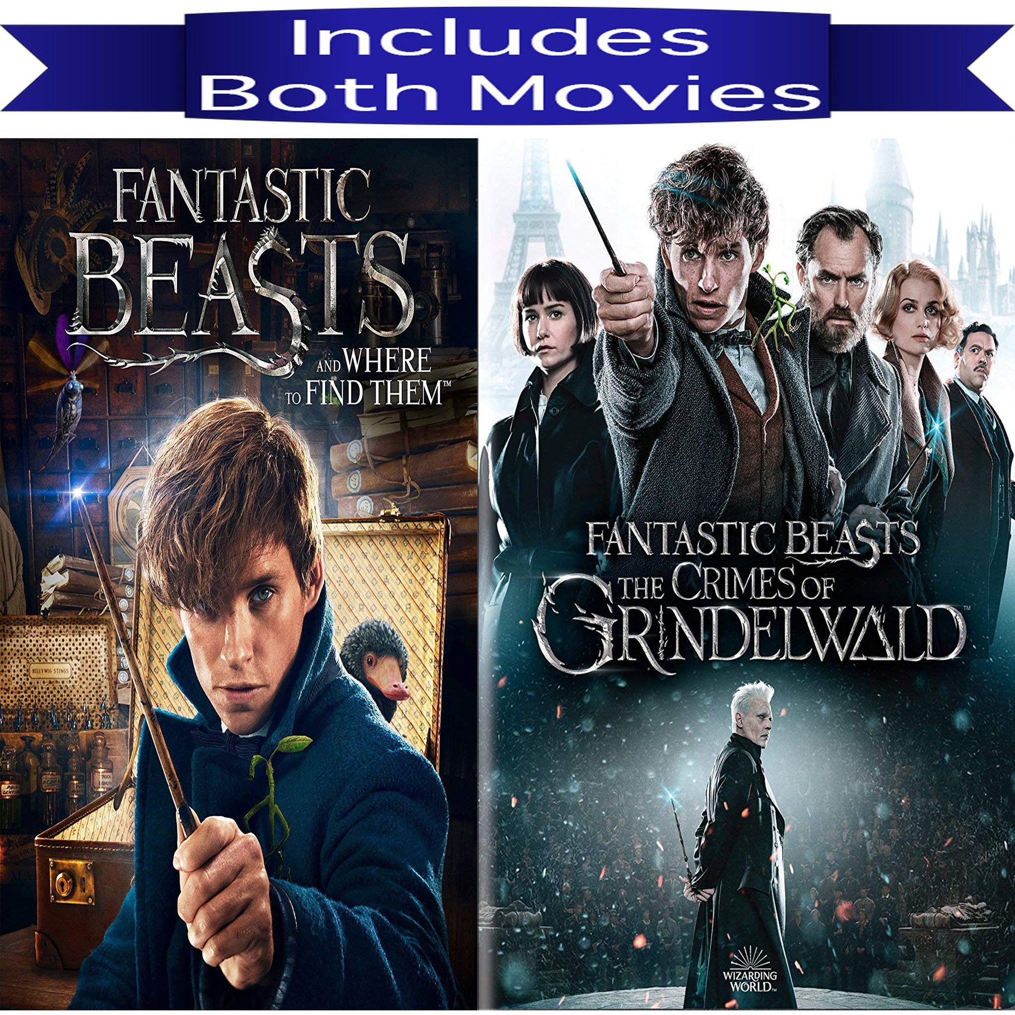 Fantastic Beasts 1 & 2 Movies on DVD Warner Brothers DVDs & Blu-ray Discs > DVDs