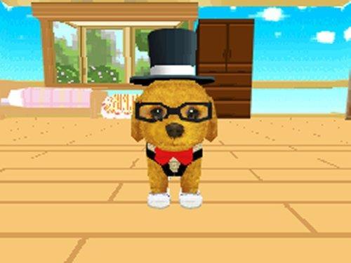 Petz Dogz Fashion - Nintendo DS – Blaze DVDs